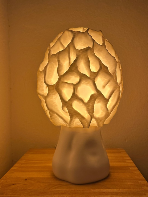 Roomberry - Morchel Pilzlampe